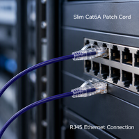 Câble de raccordement Ethernet Cat6A UTP fin RJ45 28AWG 8 conducteurs 2m Longueur personnalisée