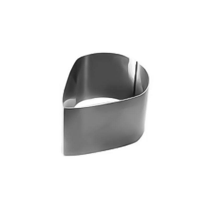 สแตนเลส