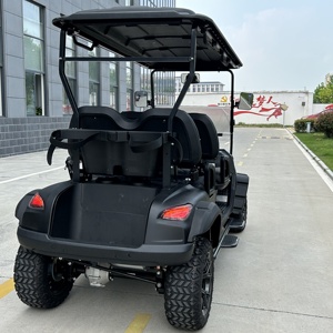 Carrito de golf de venta rápida con motor eléctrico silencioso y apariencia elegante - Product Image 2