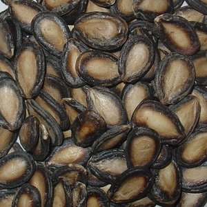 Graines de melon séchées de haute qualité, graines de melon jaunes et blanches fraîches, collations brutes en vrac, emballées en provenance d'Autriche, à vendre - Product Image 5
