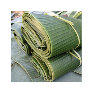 Feuille de bananier congelée de haute qualité Vietnam prix bon marché de coupe fraîche naturelle pour l'emballage et la cuisson des aliments - Product Image 2