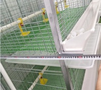 Système d'élevage automatisé manuel multicouche de type h pour volaille commerciale cage à poulets de chair à vendre