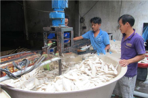 Os de seiche naturel, humidité 12%, excellente qualité pour l'alimentation des oiseaux et des animaux de compagnie - Product Image 2
