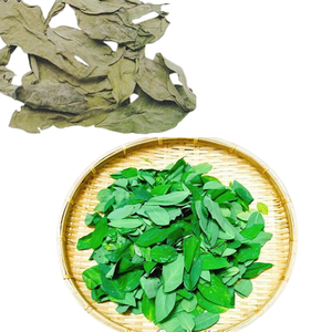 Venta caliente hoja dulce seca de calidad superior en forma de polvo al por mayor a granel mejor precio para uso alimentario - Product Image 3