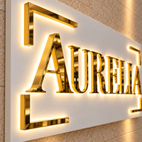 Enseigne Murale Lumineuse de Luxe pour Salon, Logo d'Entreprise en Lettres Dorées 3D, Enseigne Publicitaire Murale Illuminée pour Réception de Studio