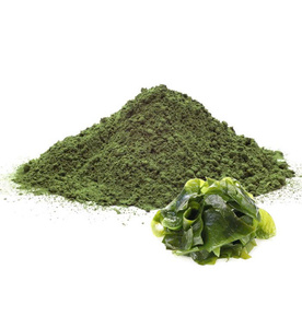 Natural Wellness Ingredient Green Seaweed Powder Plant Based Superfood For <strong>Immunity</strong> Boosting And Energy Drinks - Product Image 1