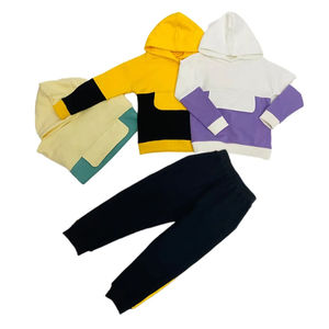 Conjunto Deportivo de Dos Piezas para Niños, Sudadera y Pantalones Deportivos con Logotipo Personalizado Premium, Estilo Urbano Informal, Diseño de Bloques de Color - Product Image 5