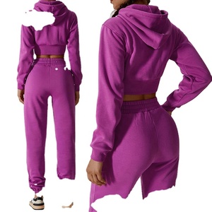 Femmes hiver Fitness jambe droite survêtement pantalon ensemble fermeture éclair complète haut court polaire à capuche taille élastique pantalons de survêtement avant plat - Product Image 5