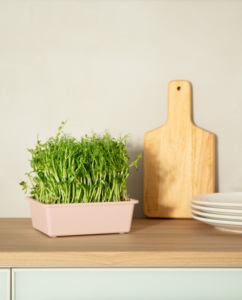 Kit <span class=keywords><strong>de</strong></span> Microvegetales con Lámpara LED Ajustable <span class=keywords><strong>de</strong></span> 8W, Caja <span class=keywords><strong>de</strong></span> Germinación con Autorriego, DC5V, para Cultivo en Interiores, con Certificación CE y RoHS - Product Image 6