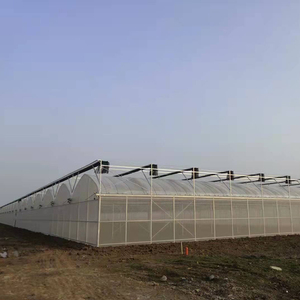 Serre verticale multi-chapelles en film pour la production intensiviste de salades hydroponiques en intérieur – Kit de système d'usine - Product Image 4