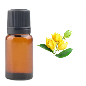 Kanha Nature aceites esenciales puros de alta calidad Ylang perfumado India Coco Argan aceite de oliva OEM suministro al por mayor a granel - Product Image 4