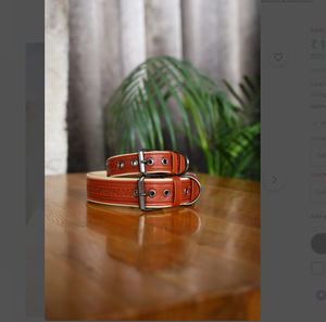 High Quality Green Leather Hound Dog <b>Collar</b> for Greyhound and Whippet - Product Image 2