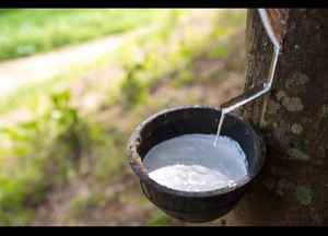 Latex de caoutchouc naturel 60% liquide, résistant aux produits chimiques, antistatique - Product Image 3