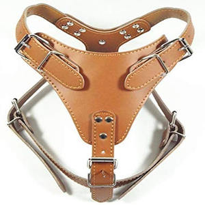 Arnés de cuero para perros superventas 2025, arnés para perros grandes, arnés para gatos al aire libre y chaleco con correa, servicio OEM, arnés personalizado - Product Image 2