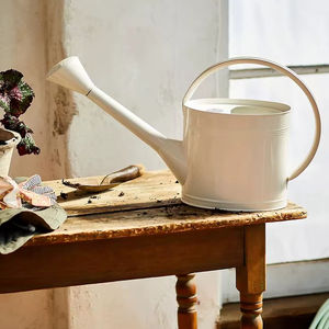 Regaderas de Hierro de Calidad de Exportación para Jardín, Terraza Exterior |   Fabricante y Mayorista Indio - Product Image 1