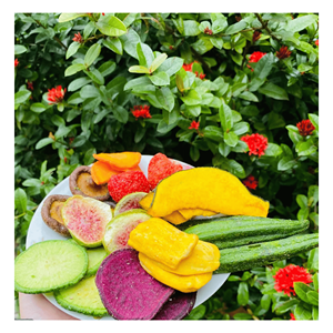 Fruta Mixta Liofilizada, Fruta Mixta Natural para Bolsitas de Refrigerio, Topping para Desayuno y Exportación a Vietnam - Product Image 1