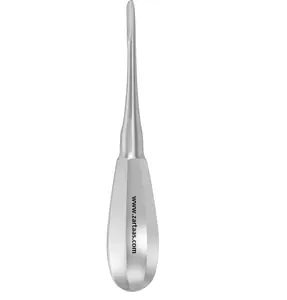 2024 High Quality Stainless Steel Elevators Bein 34 For Upper roots Round Point Surgical Dental