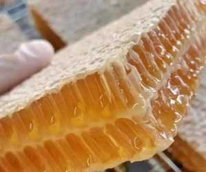 ฟาร์มอินทรีย์น้ำผึ้งสด | แหล่งพลังงานธรรมชาติวิตามินและแร่ธาตุ - Product Image 2