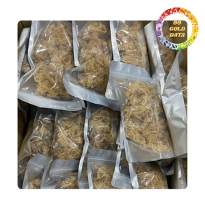 Cottoni Sea Moss Raw Seaweed for Carrageenan and Food Ingredient Use - Product Image 1