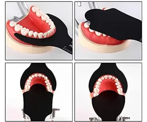 Contraste Photo Dentaire Fond Noir Conseil Orthodontique Intra-Oral Contraste Photographique Palatal Photographie Contraste 6Pcs - Product Image 2