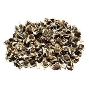 เมล็ดมะรุมธรรมชาติขายส่งจากเบลเยียม อายุการเก็บรักษา 12 เดือน - Product Image 6