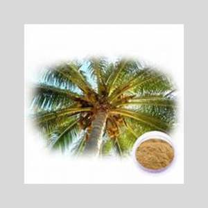 Polvo de extracto de hoja de Saw Palmetto a base de plantas 99% Pure Health Food Grade Drum Packaging apoya la salud del cabello de la próstata para - Product Image 1