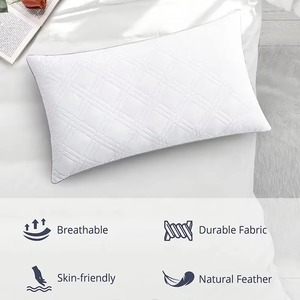 Oreillers d'hôtel en vrac du Pakistan avec la personnalisation et quantité minimale de commande d'ODM d'OEM de matériel lavable doux pour les distributeurs internationaux - Product Image 4