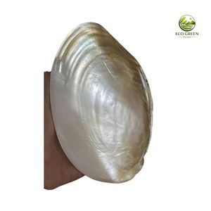 Plateau décoratif ovale en nacre faite à la main, plateau de rangement de luxe pour bijoux et clés, vente en gros - Product Image 2