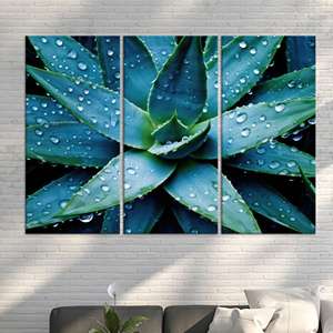 Art mural botanique moderne : Affiche sur toile imprimée avec motif de plantes succulentes, LOT DE 3 TOILES - Product Image 1