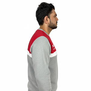 Sudaderas Personalizadas con Logotipo, Estilo Urbano, Tejido de Rizo Antibolitas, Bordadas, para Hombre - Servicio OEM, Sudadera Básica - Product Image 4