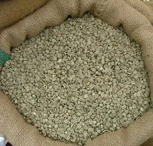 เมล็ดกาแฟเวียดนามสตาร์มาเย่ เกรด 1 กระบวนการธรรมชาติ แหล่งผลิต โซนลา คุณภาพพิเศษ สำหรับธุรกิจ B2B รับผลิตแบบ OEM ขายส่ง MOQ ต่ำ - Product Image 1