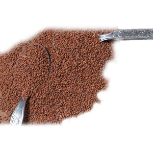 Cress | สมุนไพรทำอาหาร | ใช้ในสูตรอาหารและสุขภาพ - Product Image 1