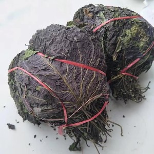 Té de brotes de perilla 100% natural y seco, 10.58 onzas, té de brotes de perilla sin conservantes, alta calidad, Vietnam - Product Image 1