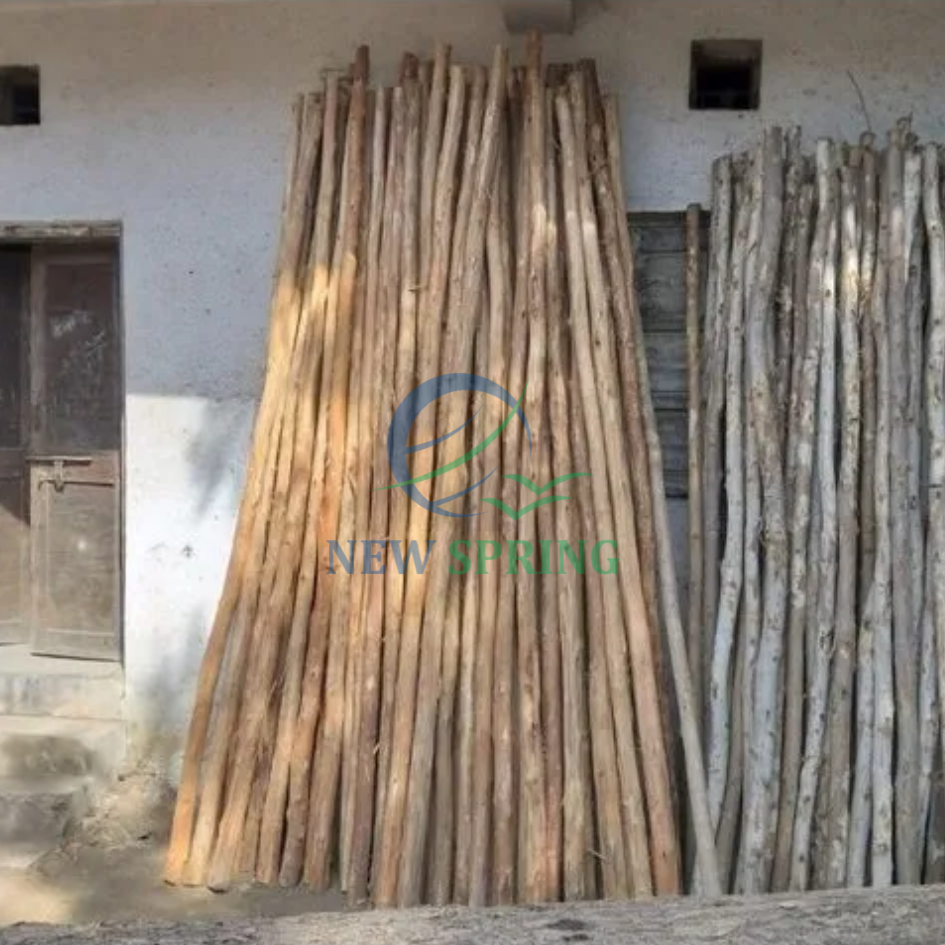 สีธรรมชาติ