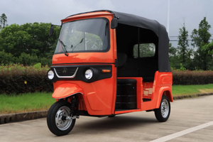 Tricycle motorisé électrique à trois roues, type scooter, pour transport de passagers, 250 cm³ - Product Image 3