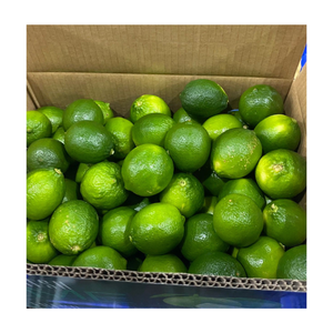 Wholesale Fresh Lime Lemon Seedless 6cm Diameter Green Seedless Lemon From Vietnam for Export - Product Image 1