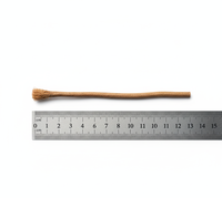GoldenAura Bâton de dents à base de plantes Blanchiment naturel Nettoyage dentaire organique Gomme Santé Haleine fraîche Outil d'hygiène buccale en bois Miswak