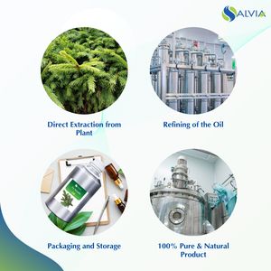 Aceite Firneedle 100% puro y natural al por mayor a granel precio más bajo embalaje personalizado - Product Image 4