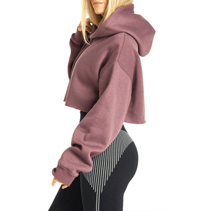 Top Corto para Mujer, Sudadera con Capucha de Invierno, Informal, Ligera, con Bordado 3D en la Parte Delantera, Manga Larga, Suave, Cómoda y Elegante - Product Image 2