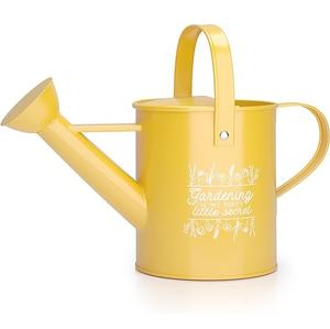 Arrosoir en métal de vente chaude pour les plantes d'extérieur et d'intérieur arrosoir de jardinage galvanisé avec poignées en acier inoxydable - Product Image 1