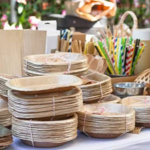 Assiettes à feuilles d'areca personnalisables de la meilleure qualité, fabriquées au Bangladesh à bas prix - Product Image 1