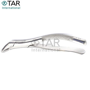 Instrumento Dental Premium 151 # Fórceps de extracción de dientes de acero inoxidable Incisivos inferiores Raíces Caninos - Product Image 5
