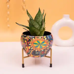 Melhor Qualidade OEM Personalizar Flower Pot Pequeno Plantador De Mesa Pequeno Em Tamanho Com Suporte Meena Printed Custom plant Pot