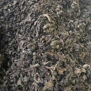 Recortes de piel de vaca de alta calidad, restos de corte de cuero crudo para extracción de gelatina, reprocesamiento, piel dividida procesada de grado de exportación - Product Image 1