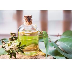 100% aceite esencial de eucalipto natural vapor destilado a granel suministro - Product Image 4