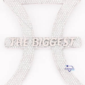 แฟชั่นฮิปปรับแต่งชื่อ VVS จี้เพชรสำหรับปลูกในห้องแล็บเงินแท้925สำหรับแฟชั่นแนวสตรีท - Product Image 2