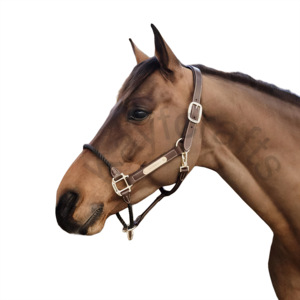 Licol de cheval en cuir de couleur or avec plaque de gravure à ajustement réglable en corde épaisse - Product Image 2