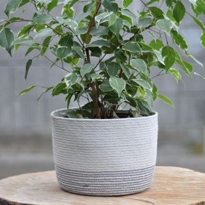 Planteur en corde macramé de qualité supérieure pour un soutien durable des plantes et une décoration élégante de la maison - Product Image 2