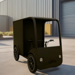 Bicicletta Elettrica da Carico a Quattro Ruote con Doppia Batteria da 250W, Grande Capacità, Vendita all'Ingrosso - Product Image 1