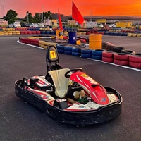 Go-Karts Eléctricos Todoterreno para Niños y Adultos, Motor de 4 Tiempos, Velocidad Máxima de 75 km/h, Frenos Hidráulicos